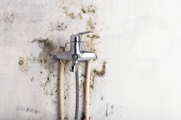 Best Emergency Mold Removal  in Howard, WI