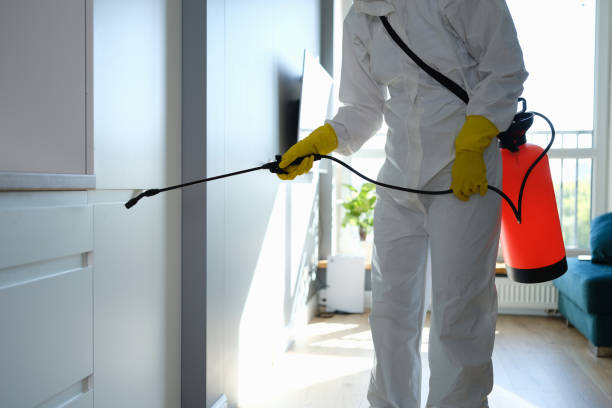 Best Commercial Mold Removal  in Howard, WI