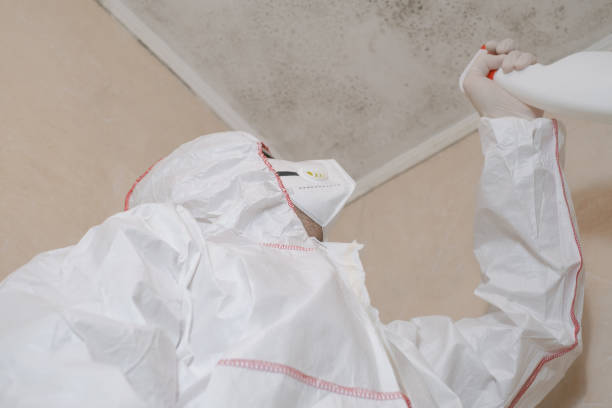 Best Affordable Mold Removal  in Howard, WI